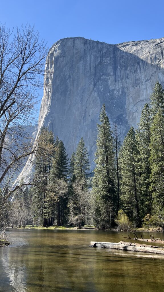 Photo of El Capitan and the Merced River as seen from Cathedral Beach, which is great for picnicking 