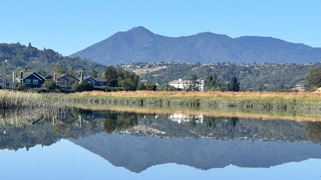 Photo showing Mount Tamalpias reflecting in the water of Gallinas Creek.  Discover abundant wildlife at Gallinas Creek