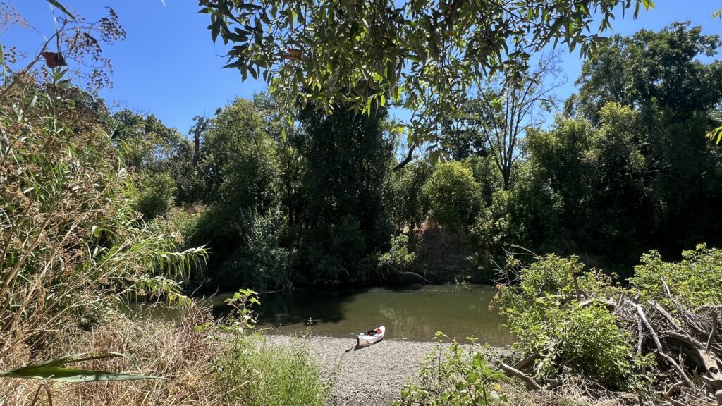 Picture of Napa River as seen from the trail at Trancas Park. Kayak the Napa River from this launch.