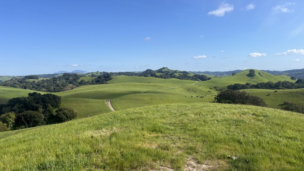 Photo of the view atop the ridge of Fernandez Ranch.  Showing wide open green spaces and vast hillsides. 