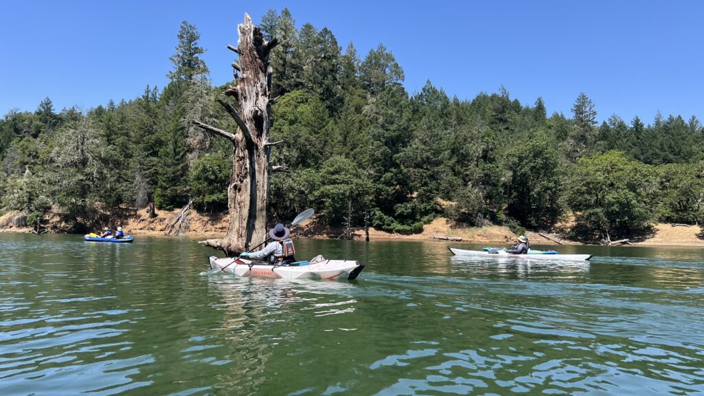 Photo of Kayak Campers paddling on Lake Sonoma in the morning